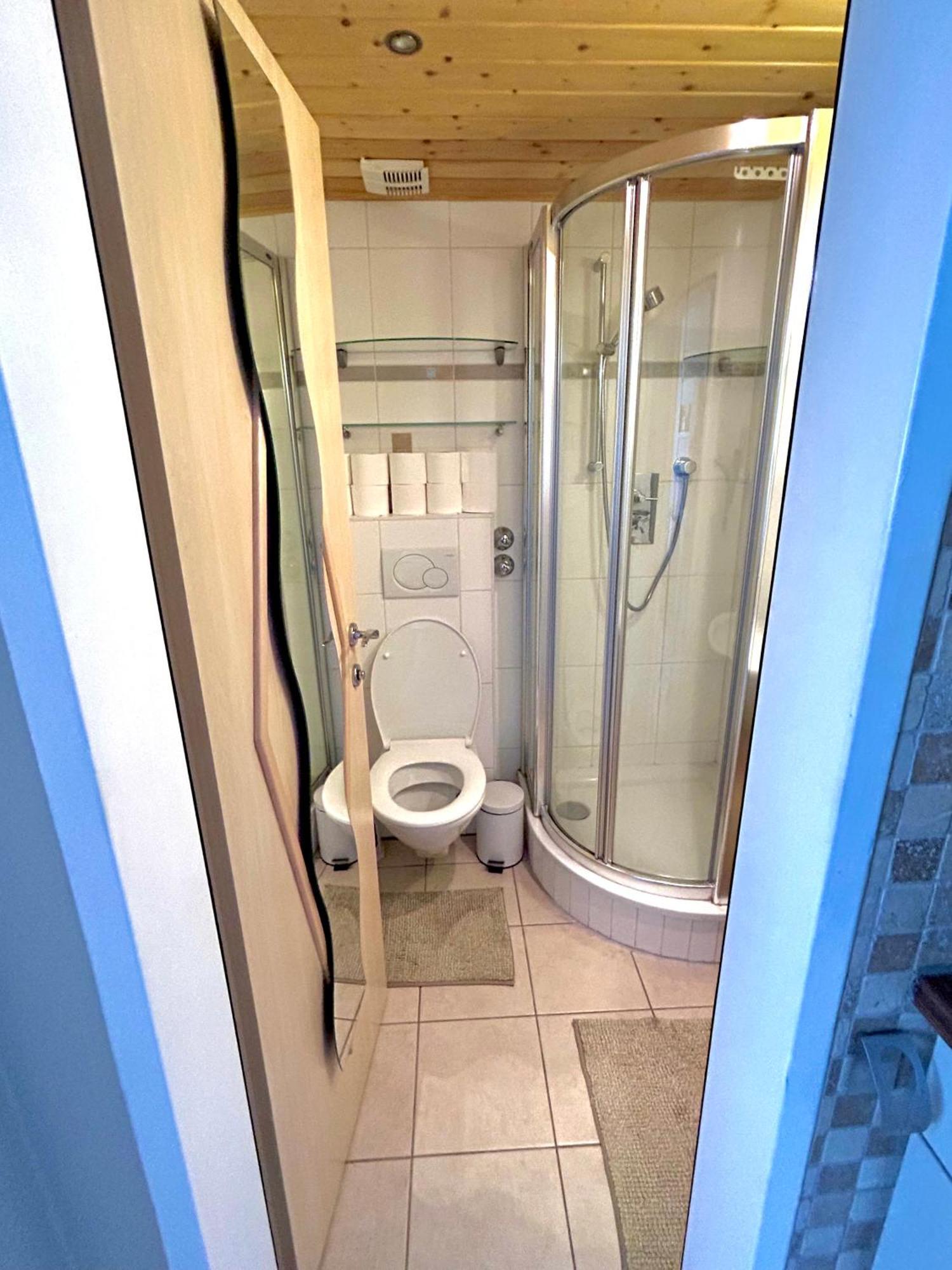 Alpine Apartment Schladming Mit Sauna Und Pool Εξωτερικό φωτογραφία